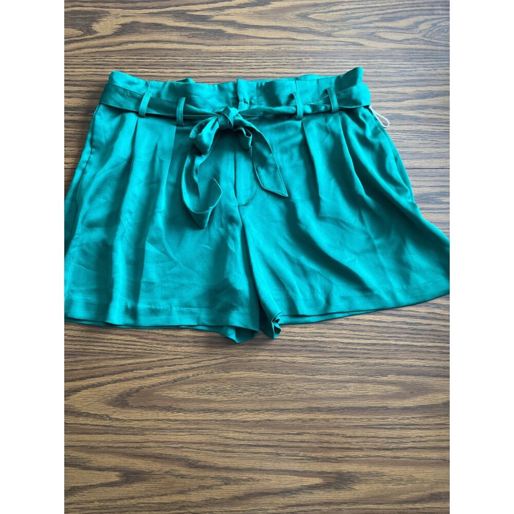 Worthington emerald green zip front shorts with belt size 16 NWOT